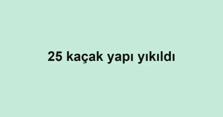 25 kaçak yapı yıkıldı