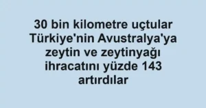 30 bin kilometre uçtular Türkiye'nin Avustralya'ya zeytin ve zeytinyağı ihracatını yüzde 143 artırdılar