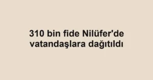 310 bin fide Nilüfer'de vatandaşlara dağıtıldı