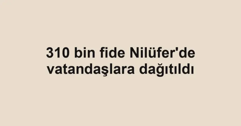 310 bin fide Nilüfer'de vatandaşlara dağıtıldı