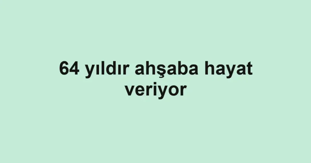 64 yıldır ahşaba hayat veriyor