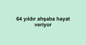 64 yıldır ahşaba hayat veriyor