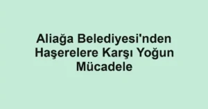 Aliağa Belediyesi'nden Haşerelere Karşı Yoğun Mücadele