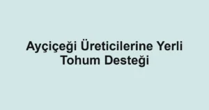 Ayçiçeği Üreticilerine Yerli Tohum Desteği