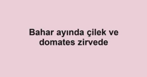 Bahar ayında çilek ve domates zirvede