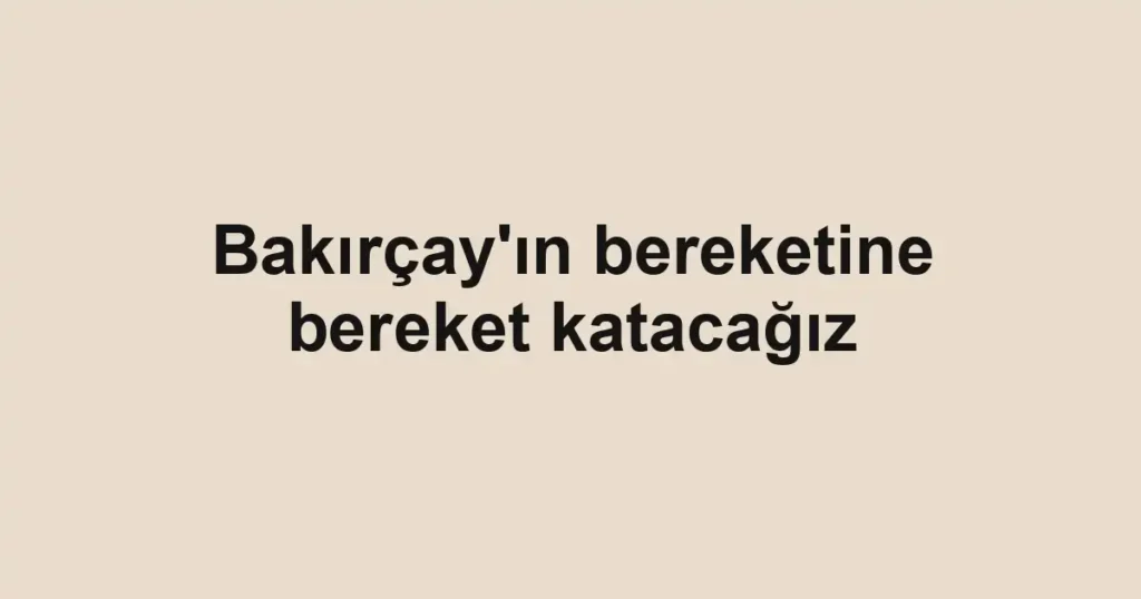 Bakırçay'ın bereketine bereket katacağız