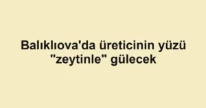 Balıklıova'da üreticinin yüzü "zeytinle" gülecek