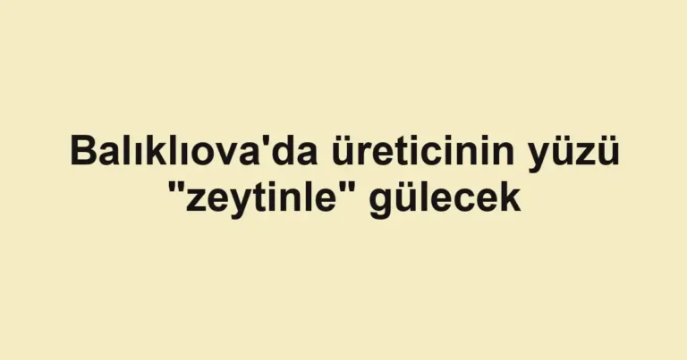 Balıklıova'da üreticinin yüzü "zeytinle" gülecek