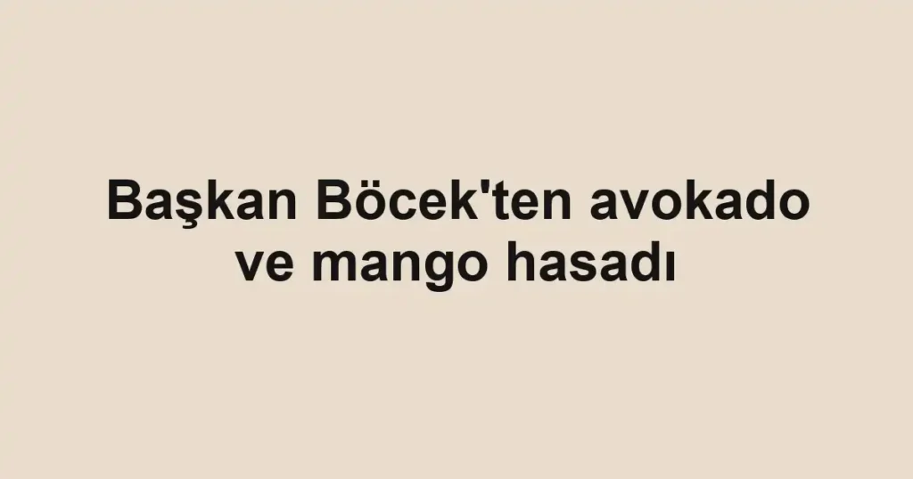 Başkan Böcek'ten avokado ve mango hasadı