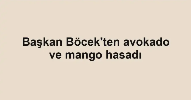 Başkan Böcek'ten avokado ve mango hasadı