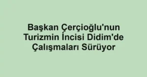 Başkan Çerçioğlu'nun Turizmin İncisi Didim'de Çalışmaları Sürüyor