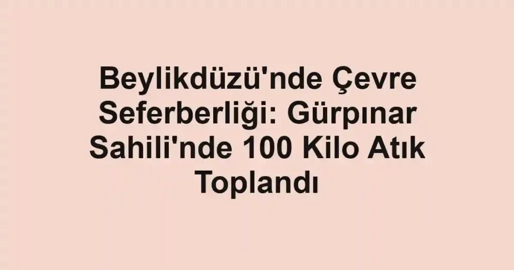 Beylikdüzü'nde Çevre Seferberliği: Gürpınar Sahili'nde 100 Kilo Atık Toplandı
