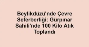 Beylikdüzü'nde Çevre Seferberliği: Gürpınar Sahili'nde 100 Kilo Atık Toplandı