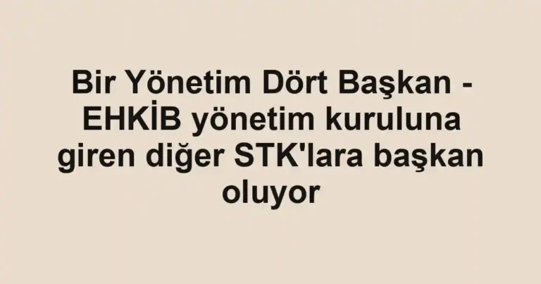 Bir Yönetim Dört Başkan - EHKİB yönetim kuruluna giren diğer STK'lara başkan oluyor