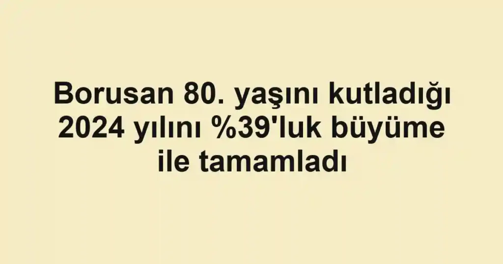 Borusan 80. yaşını kutladığı 2024 yılını 'luk büyüme ile tamamladı