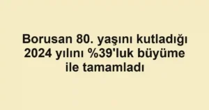 Borusan 80. yaşını kutladığı 2024 yılını 'luk büyüme ile tamamladı
