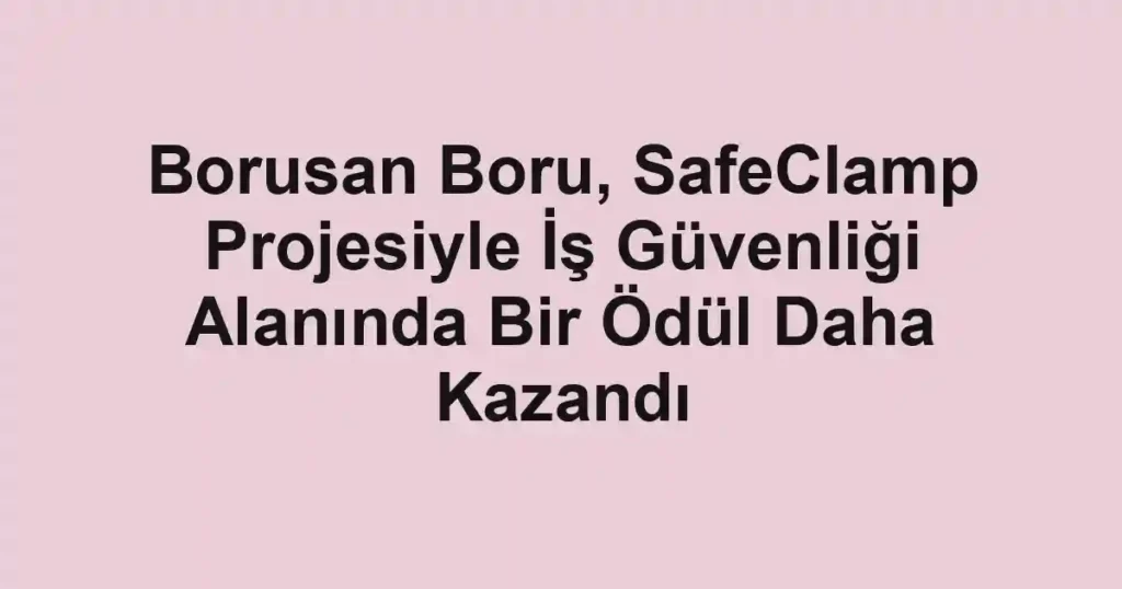 Borusan Boru, SafeClamp Projesiyle İş Güvenliği Alanında Bir Ödül Daha Kazandı