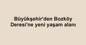 Büyükşehir'den Bozköy Deresi'ne yeni yaşam alanı