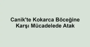 Canik'te Kokarca Böceğine Karşı Mücadelede Atak