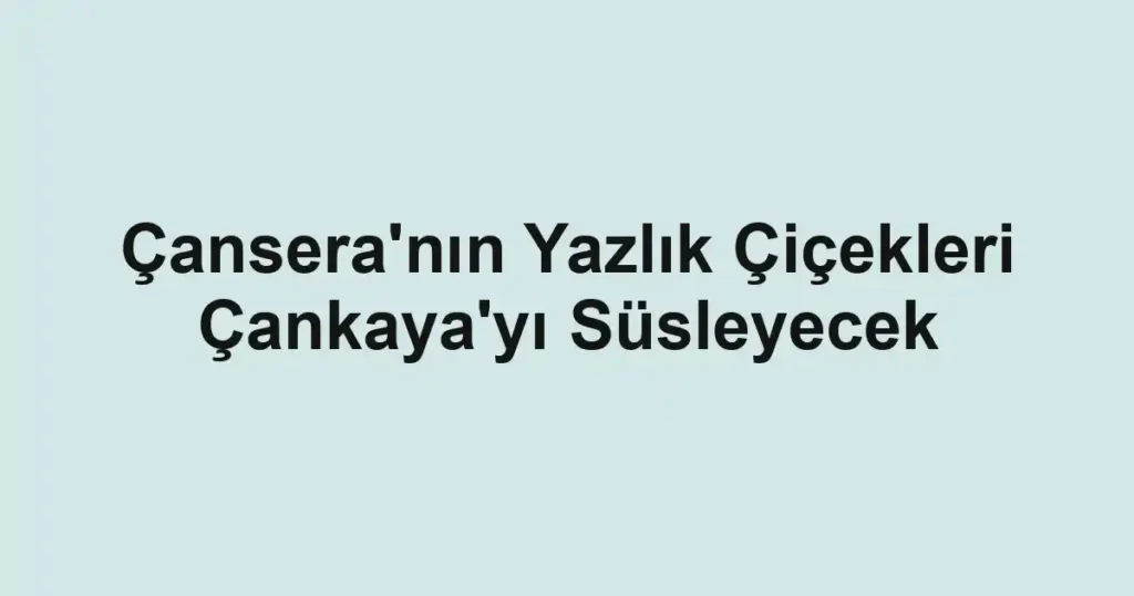 Çansera'nın Yazlık Çiçekleri Çankaya'yı Süsleyecek