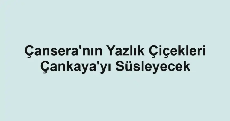Çansera'nın Yazlık Çiçekleri Çankaya'yı Süsleyecek