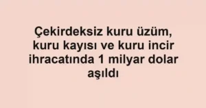 Çekirdeksiz kuru üzüm, kuru kayısı ve kuru incir ihracatında 1 milyar dolar aşıldı