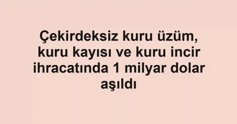 Çekirdeksiz kuru üzüm, kuru kayısı ve kuru incir ihracatında 1 milyar dolar aşıldı