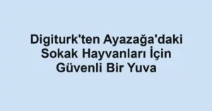 Digiturk'ten Ayazağa'daki Sokak Hayvanları İçin Güvenli Bir Yuva