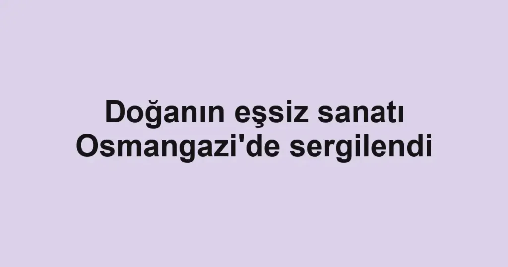 Doğanın eşsiz sanatı Osmangazi'de sergilendi