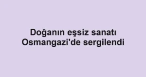 Doğanın eşsiz sanatı Osmangazi'de sergilendi
