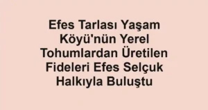 Efes Tarlası Yaşam Köyü'nün Yerel Tohumlardan Üretilen Fideleri Efes Selçuk Halkıyla Buluştu