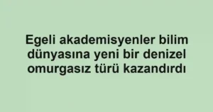 Egeli akademisyenler bilim dünyasına yeni bir denizel omurgasız türü kazandırdı