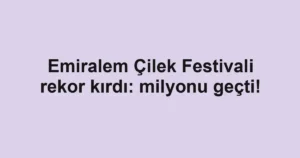 Emiralem Çilek Festivali rekor kırdı: milyonu geçti!