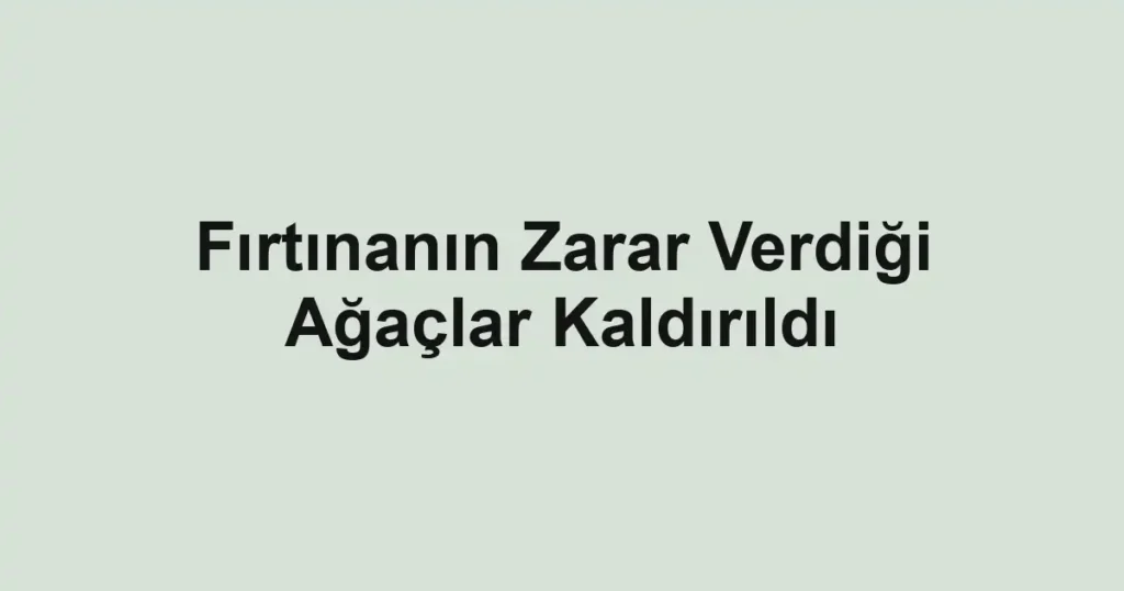 Fırtınanın Zarar Verdiği Ağaçlar Kaldırıldı