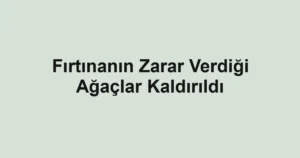 Fırtınanın Zarar Verdiği Ağaçlar Kaldırıldı