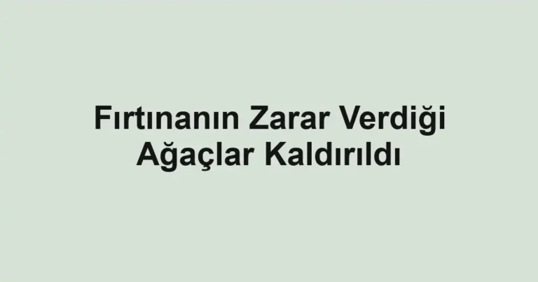 Fırtınanın Zarar Verdiği Ağaçlar Kaldırıldı