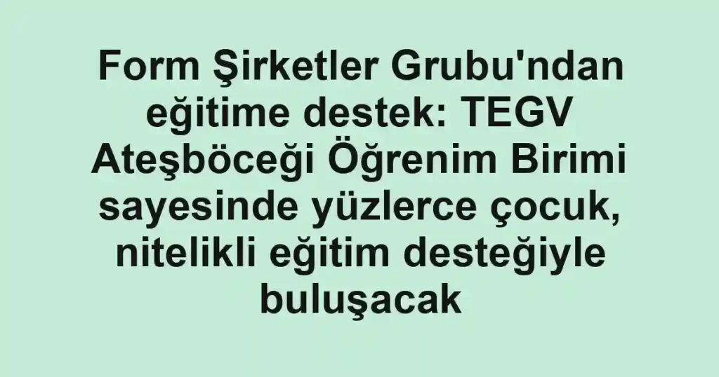 Form Şirketler Grubu'ndan eğitime destek: TEGV Ateşböceği Öğrenim Birimi sayesinde yüzlerce çocuk, nitelikli eğitim desteğiyle buluşacak