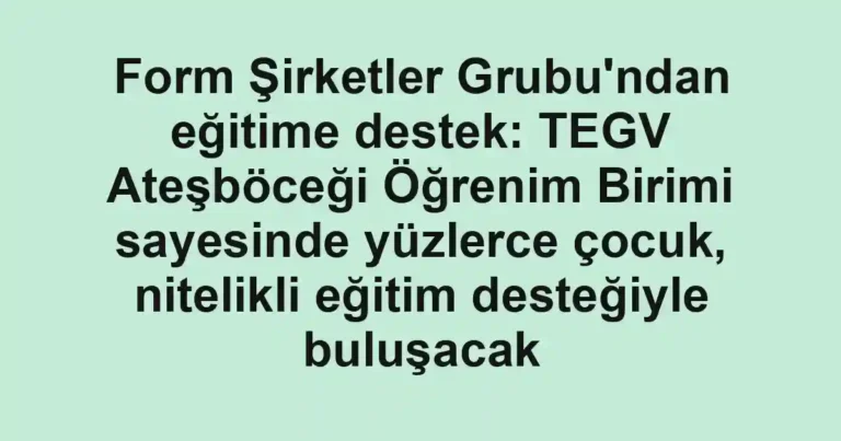 Form Şirketler Grubu'ndan eğitime destek: TEGV Ateşböceği Öğrenim Birimi sayesinde yüzlerce çocuk, nitelikli eğitim desteğiyle buluşacak