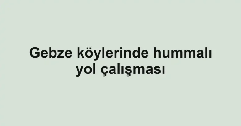 Gebze köylerinde hummalı yol çalışması