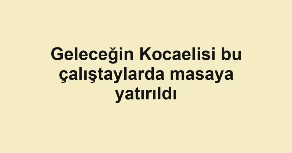 Geleceğin Kocaelisi bu çalıştaylarda masaya yatırıldı