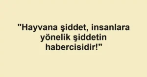 "Hayvana şiddet, insanlara yönelik şiddetin habercisidir!"