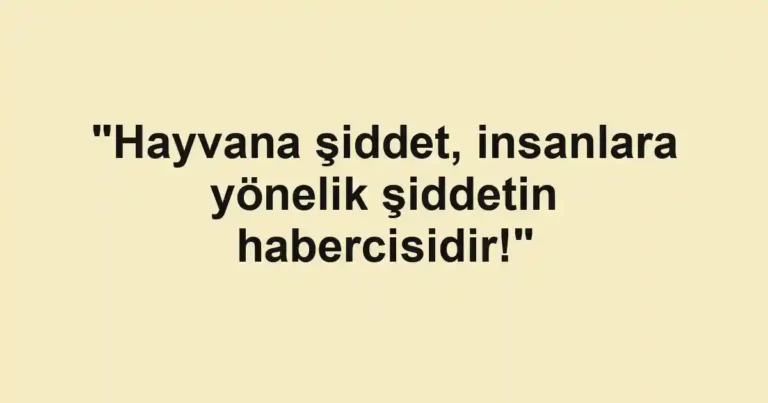 "Hayvana şiddet, insanlara yönelik şiddetin habercisidir!"