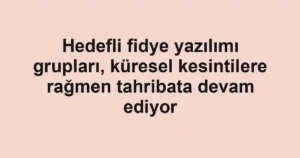 Hedefli fidye yazılımı grupları, küresel kesintilere rağmen tahribata devam ediyor