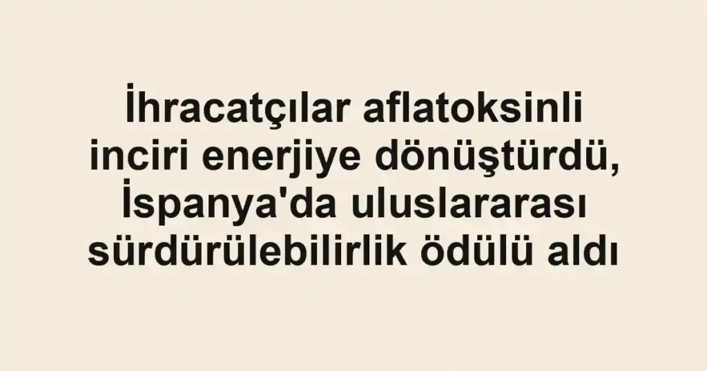 İhracatçılar aflatoksinli inciri enerjiye dönüştürdü, İspanya'da uluslararası sürdürülebilirlik ödülü aldı