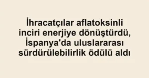 İhracatçılar aflatoksinli inciri enerjiye dönüştürdü, İspanya'da uluslararası sürdürülebilirlik ödülü aldı