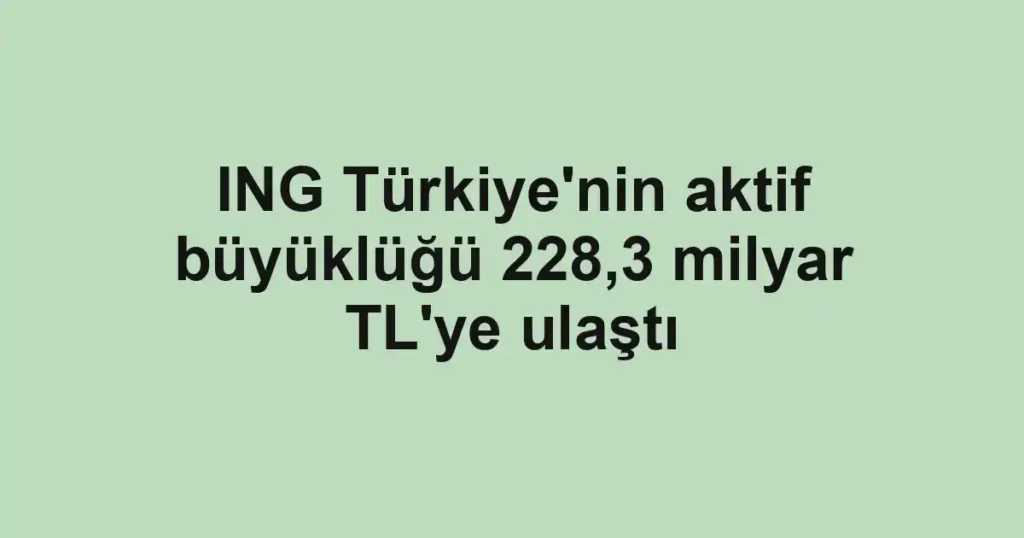 ING Türkiye'nin aktif büyüklüğü 228,3 milyar TL'ye ulaştı
