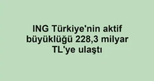 ING Türkiye'nin aktif büyüklüğü 228,3 milyar TL'ye ulaştı