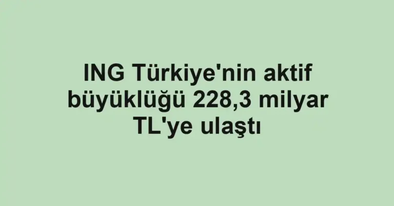 ING Türkiye'nin aktif büyüklüğü 228,3 milyar TL'ye ulaştı