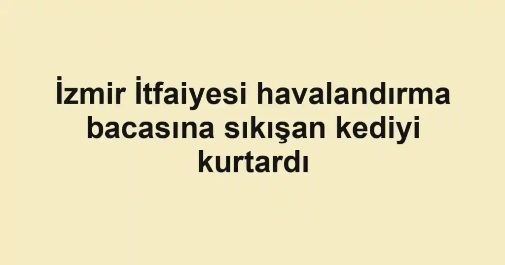İzmir İtfaiyesi havalandırma bacasına sıkışan kediyi kurtardı