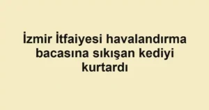 İzmir İtfaiyesi havalandırma bacasına sıkışan kediyi kurtardı